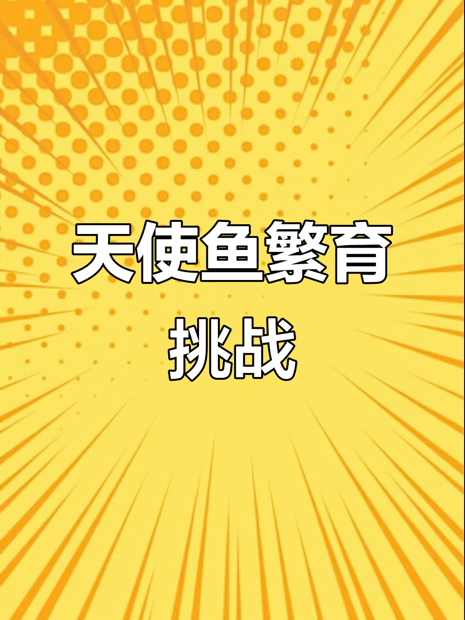 挑战天使鱼繁殖,绿翡翠能否成功受精?