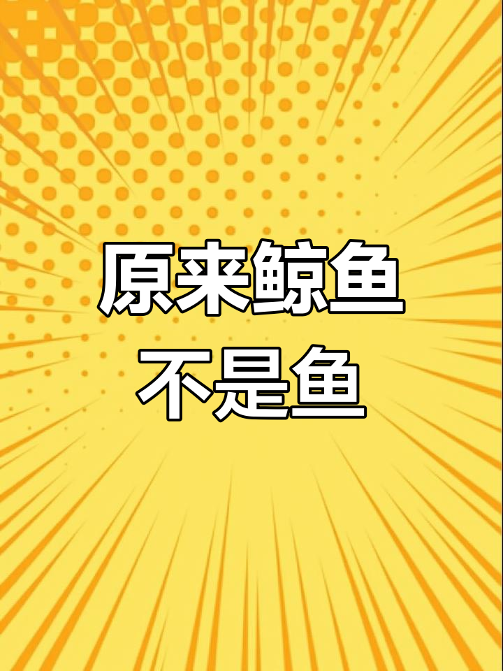 鲸鱼大揭秘!渔夫们误以为它是可吃的“怪物”