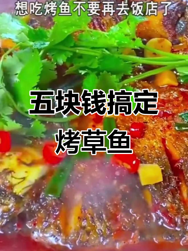 草鱼懒人做法，简单又美味！教你轻松做出烤鱼肉