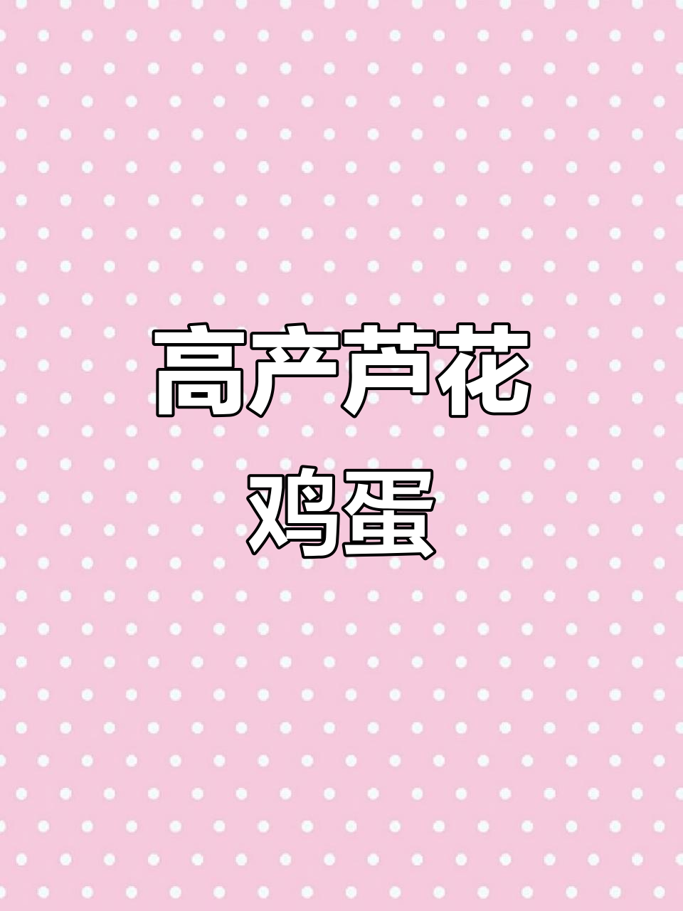 芦花鸡高产蛋,营养丰富,公鸡肉质鲜美