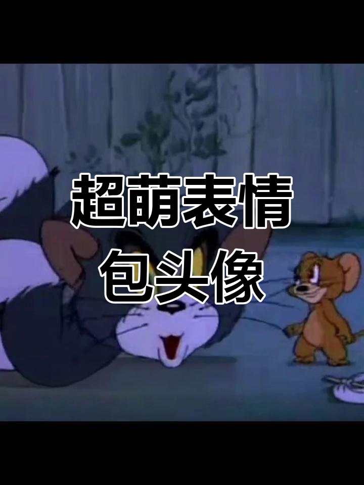 表情包也能做头像,太可爱了