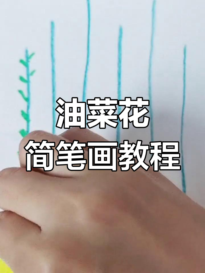 春天油菜花盛开,一起学画吧