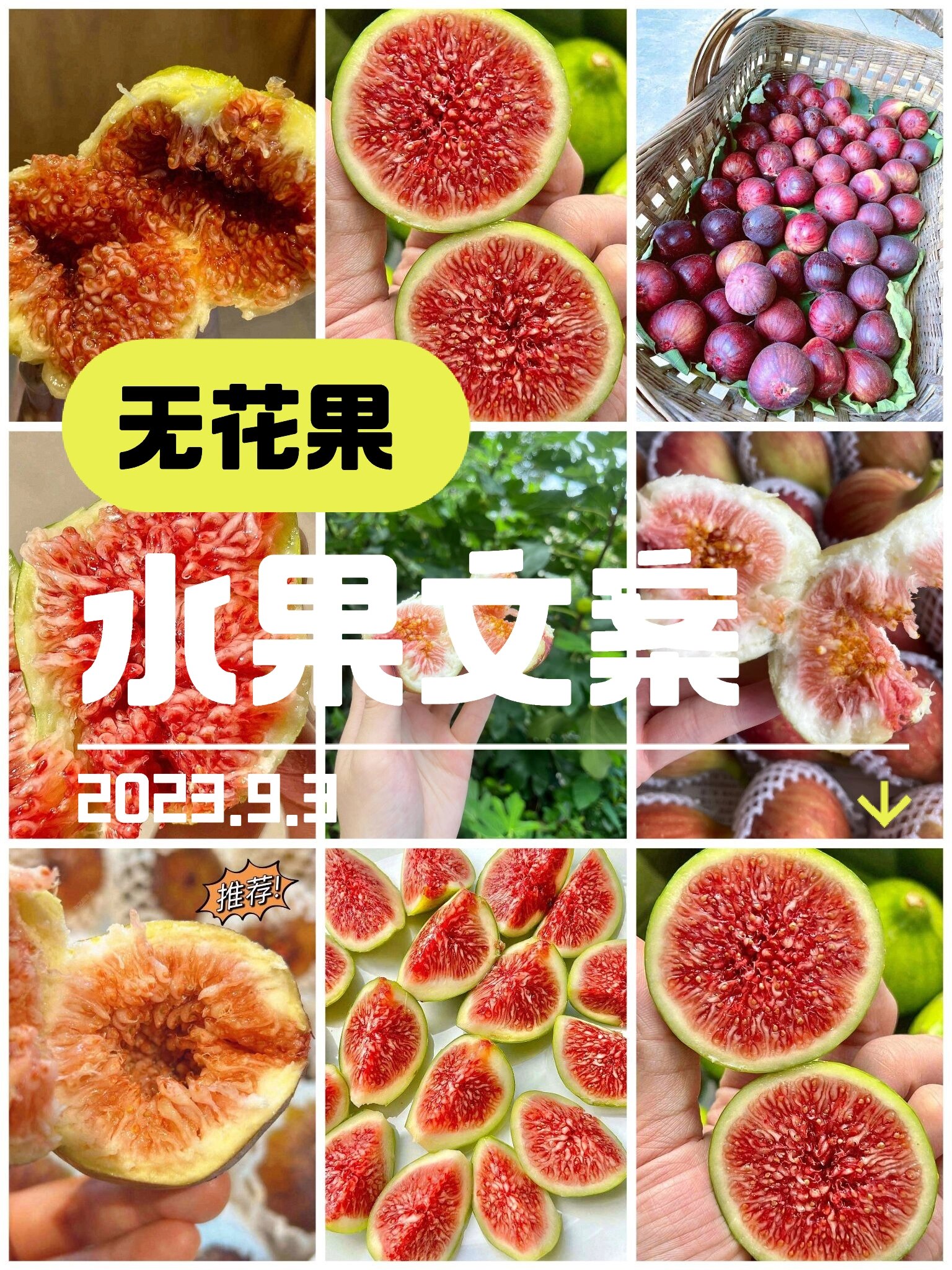 水果文案|9.3无花果朋友圈水果文案推荐
