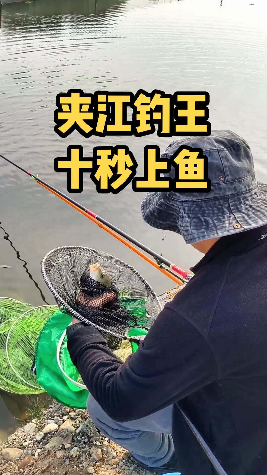 夹江钓王,十秒钟上鱼,这速度你见过吗 2022dou来钓鱼 真实户外