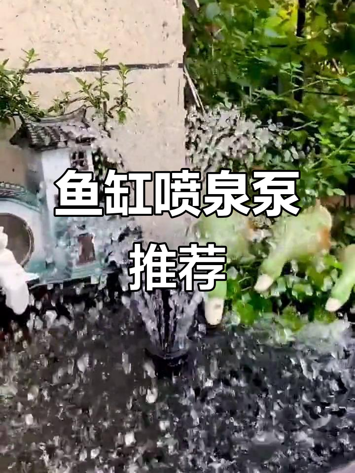 夏季必备!鱼缸喷泉泵让水循环更流畅,增氧又清凉