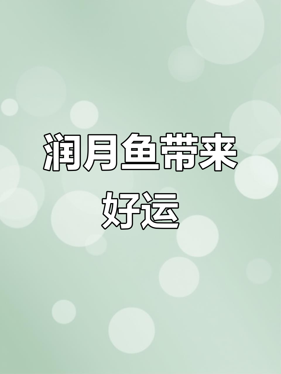 儿媳送润月大面包鱼,爹娘健康长寿笑开颜