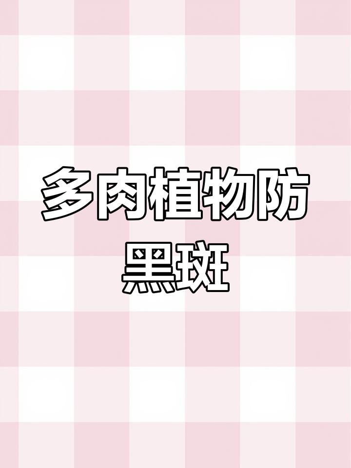 夏季高温多肉叶片长黑斑?教你防治方法