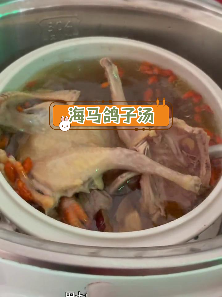 海马田七炖鸽子汤,滋补养生