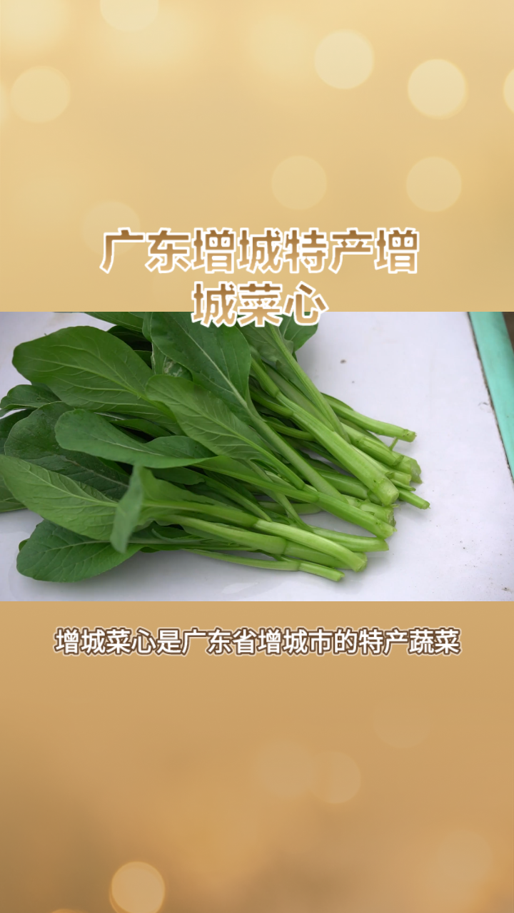 广东增城特产增城菜心