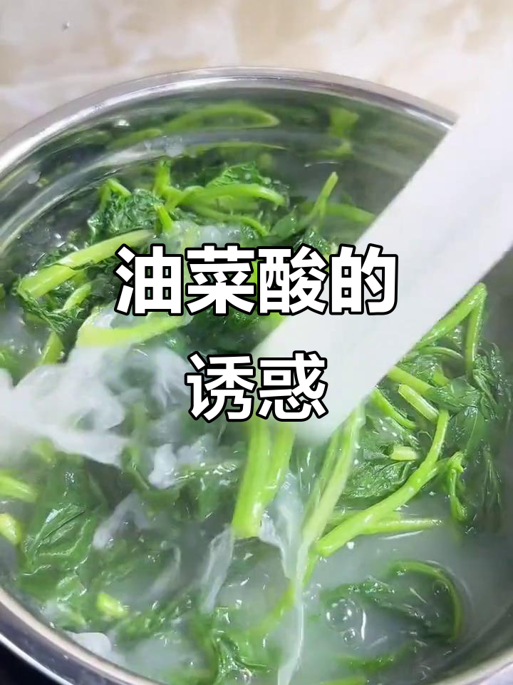 亲手采摘苦油菜,酸爽口感让人欲罢不能!