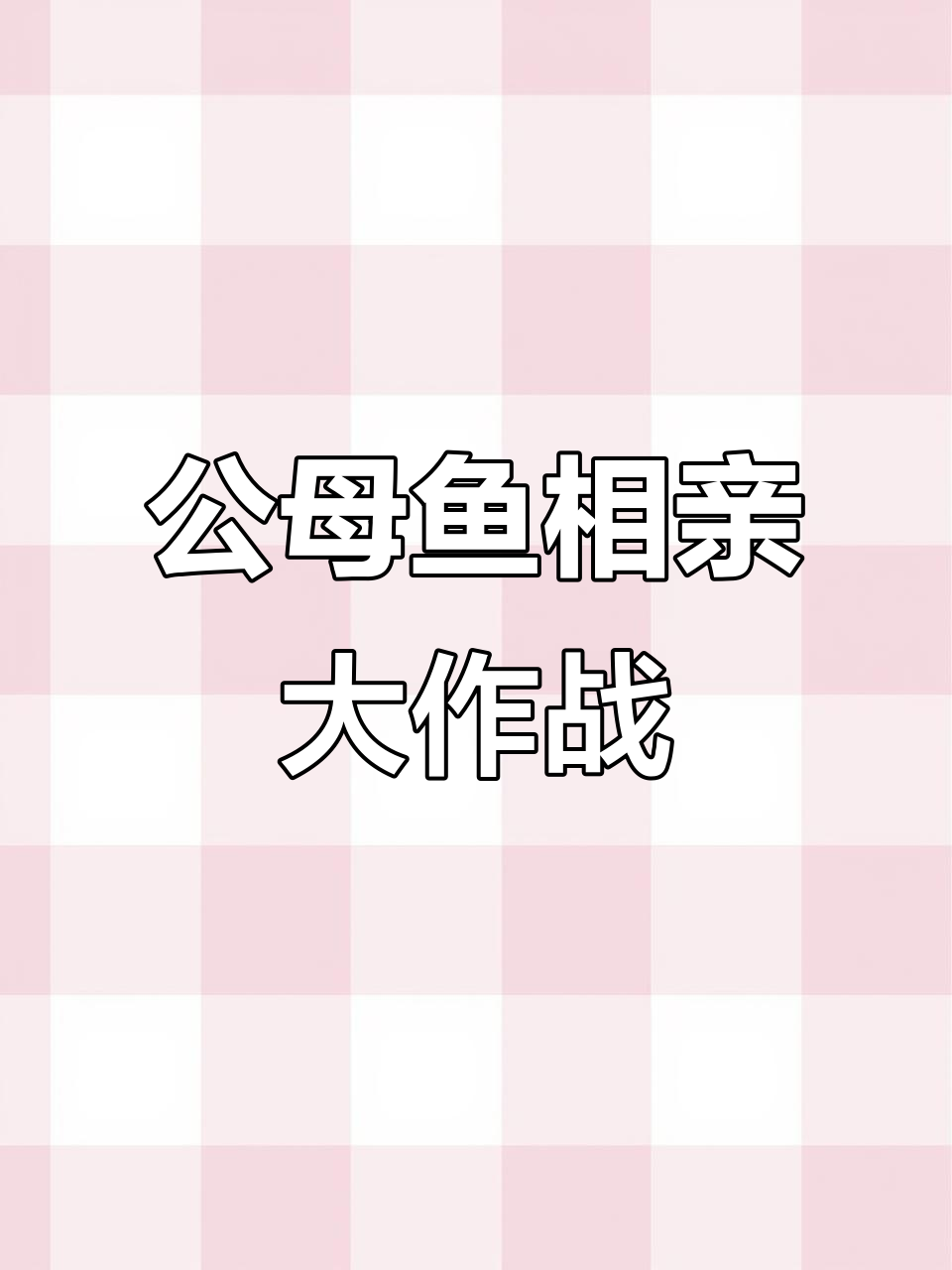 帝王血钻相亲大战，母鱼直击公鱼的“软肋”