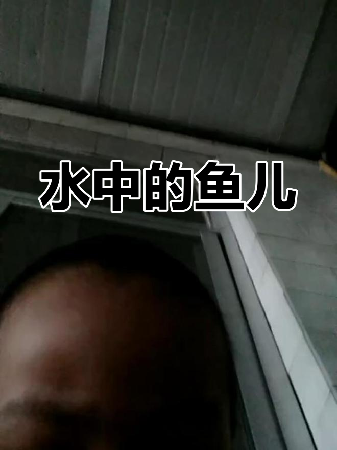 游鱼戏水,畅享自然