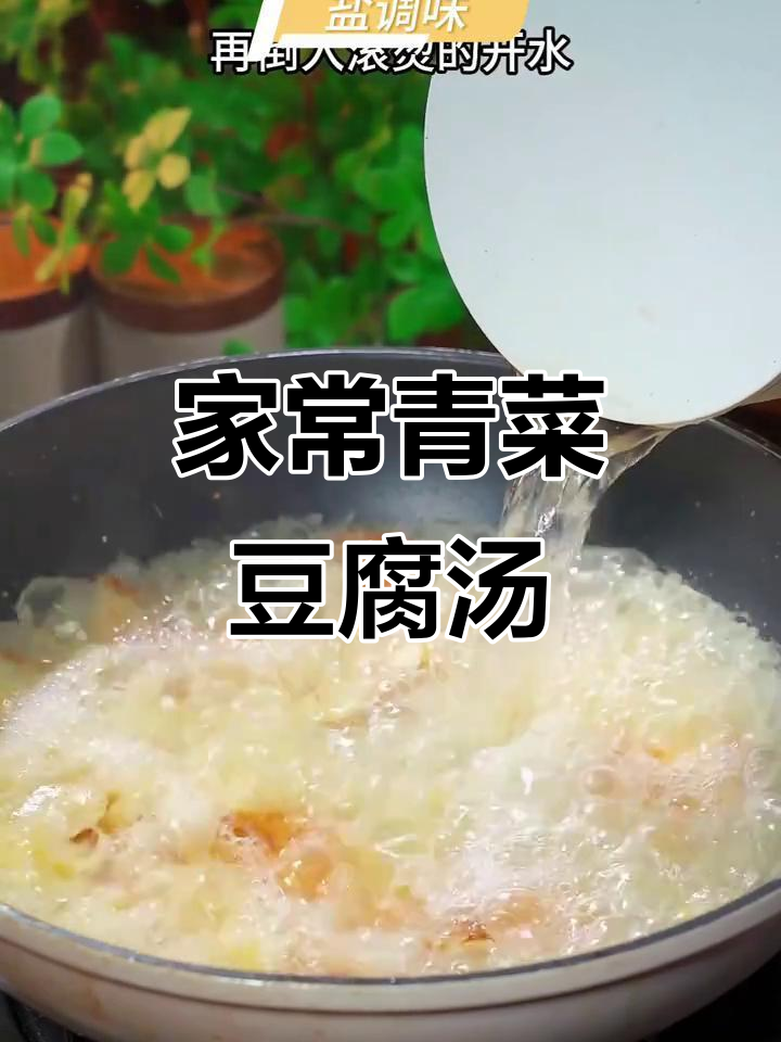 简单又美味!青菜豆腐汤,家常做法大揭秘