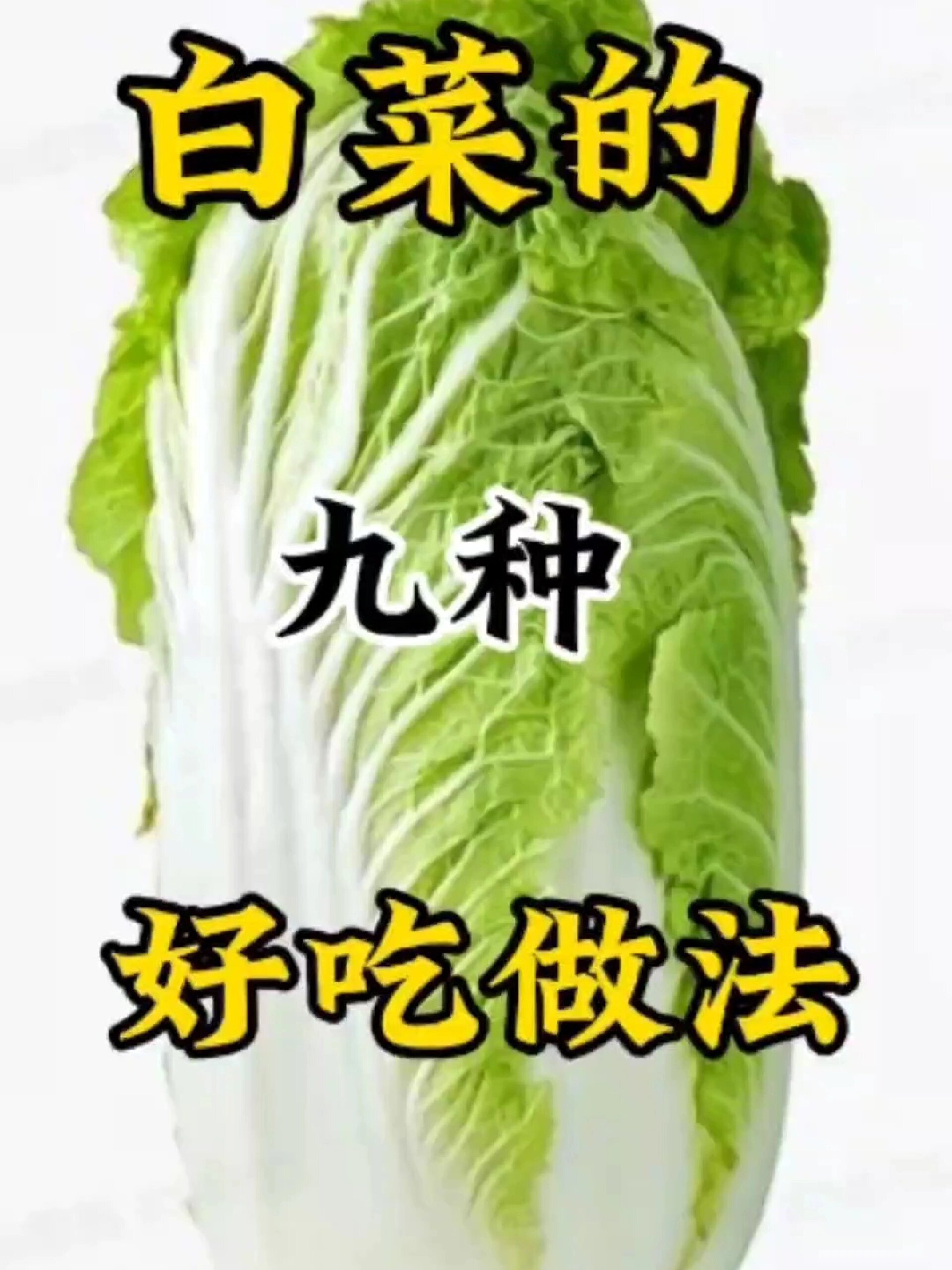 白菜的做法大全