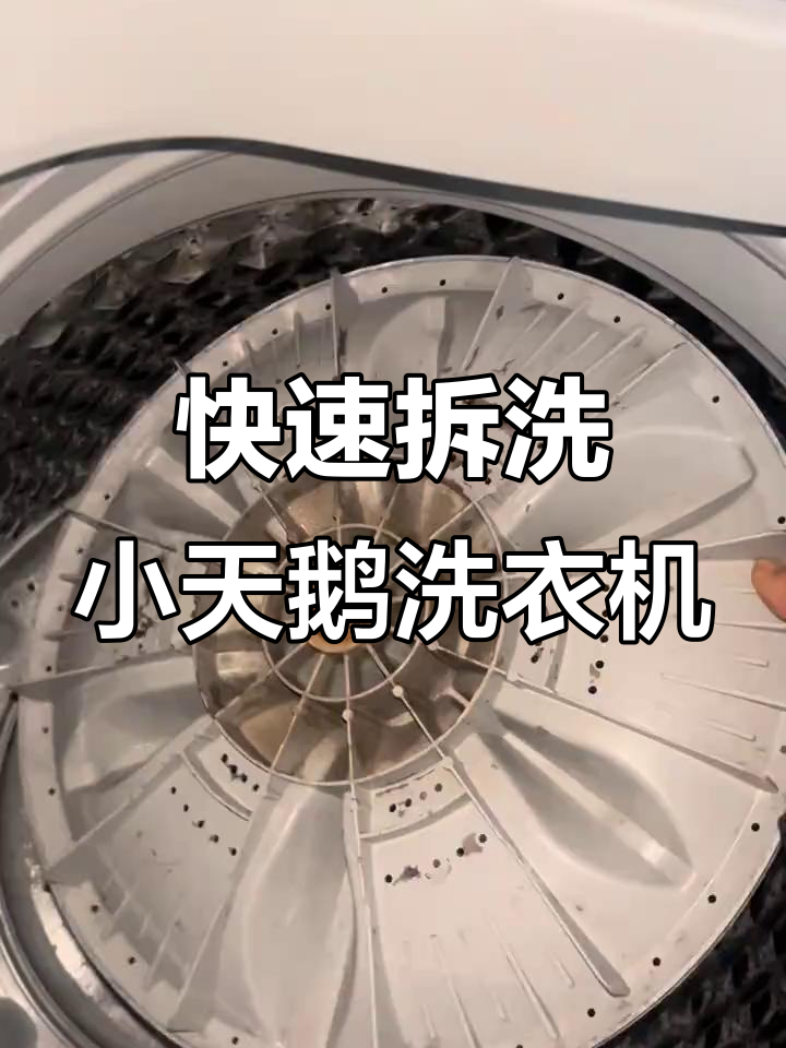 小天鹅洗衣机拆洗全攻略,轻松学会清洗技巧