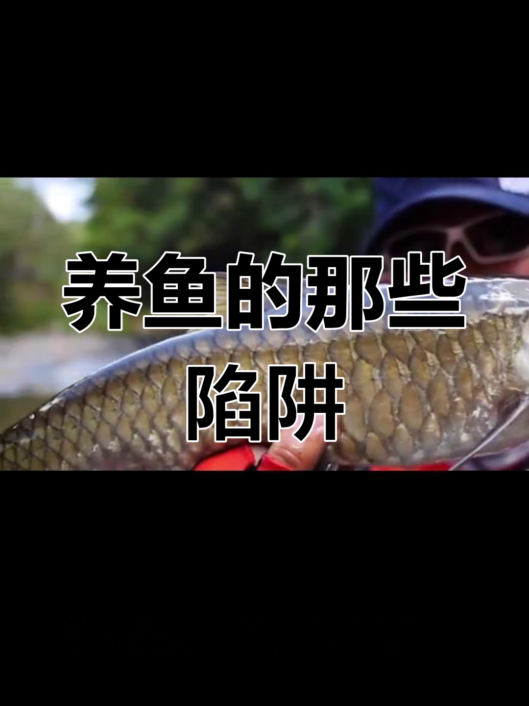 买观赏鱼时,你遇到过哪些坑?