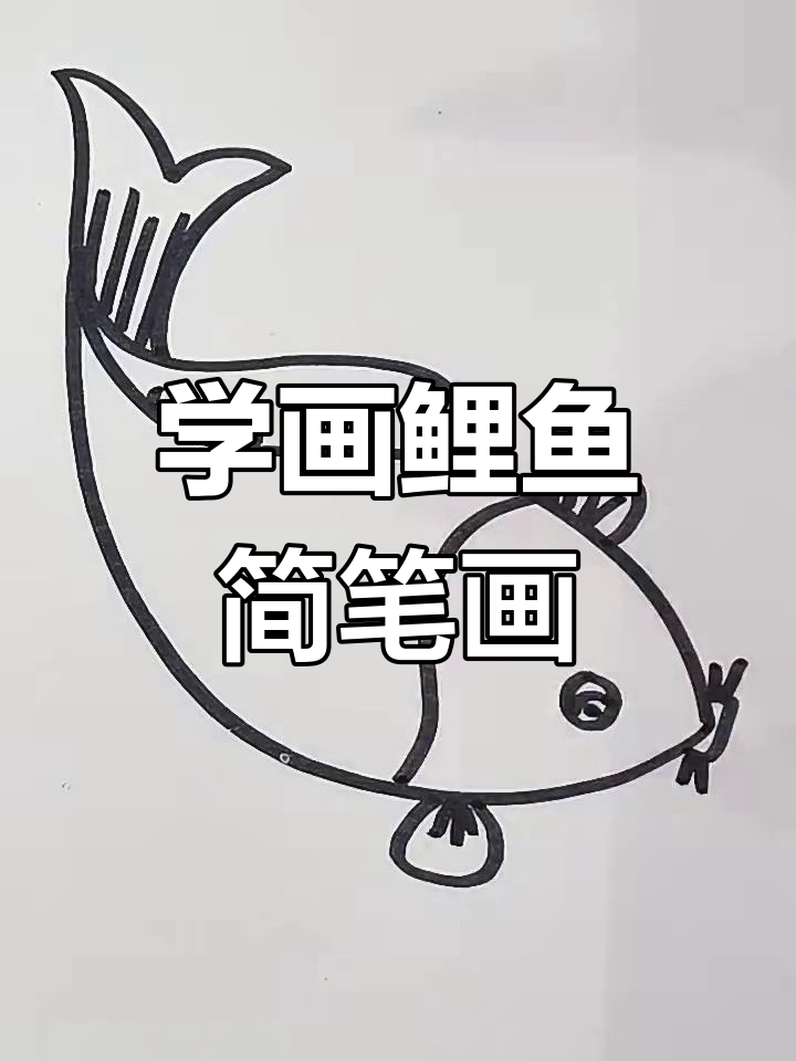 轻松学画鲤鱼,简单步骤教你画出可爱大鲤鱼