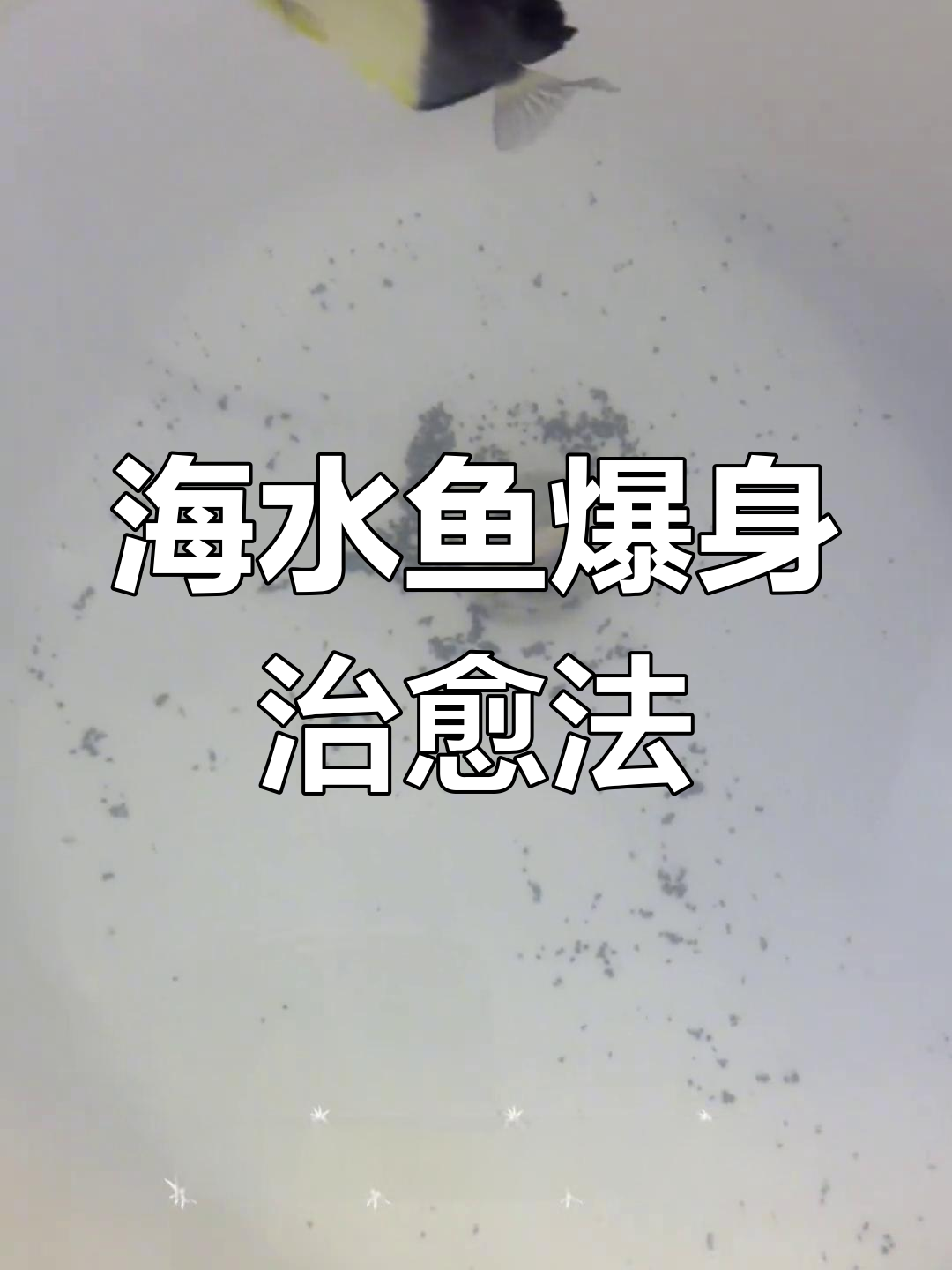 海水鱼爆身治疗,Kanaplex与AB桶搭配效果显著
