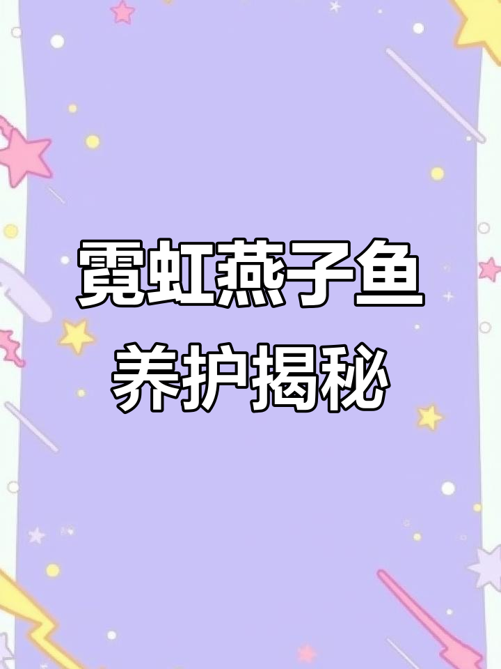 霓虹燕子鱼:美丽热带观赏鱼的求偶与饲养技巧