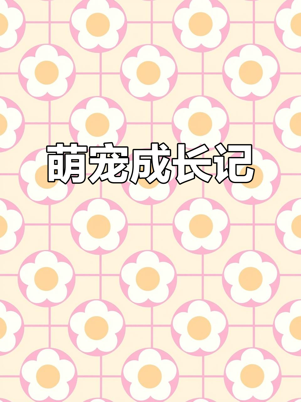 小麻鸡四个月了,叫声逗趣;五黑发育慢,公母待定