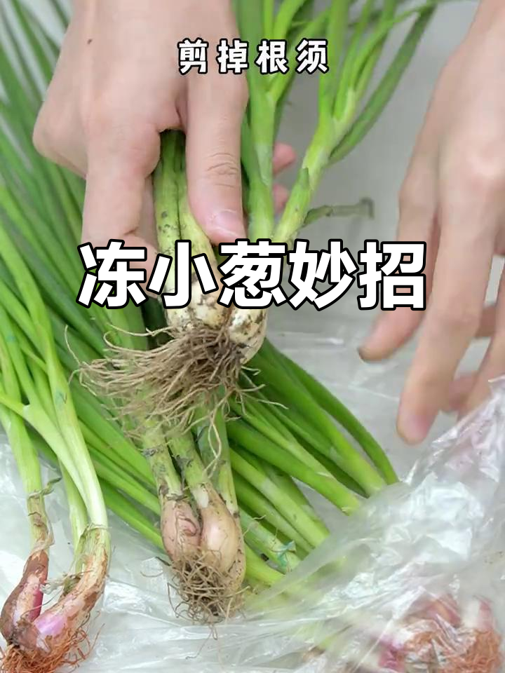 小葱冷冻半年不坏,炒菜更方便