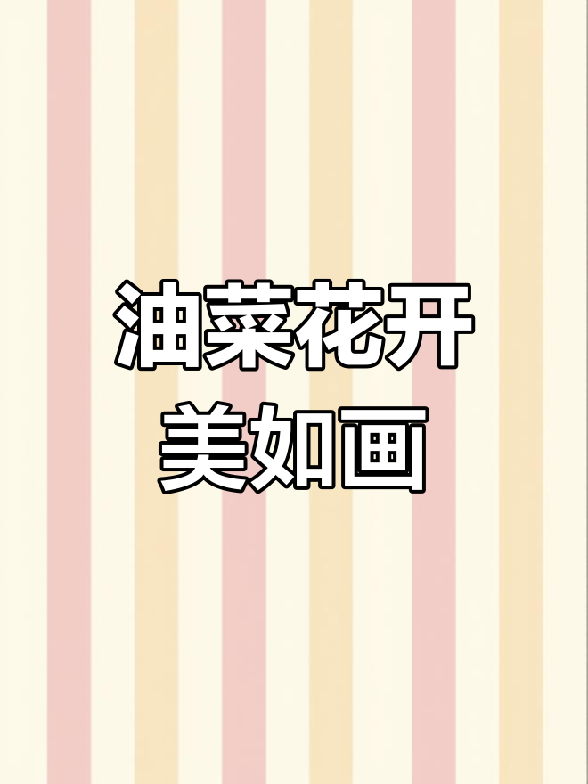 汉中油菜花海,春天最美的风景!