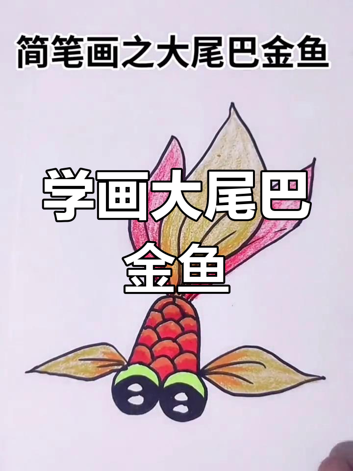 一起学画大尾巴金鱼,简单又有趣!