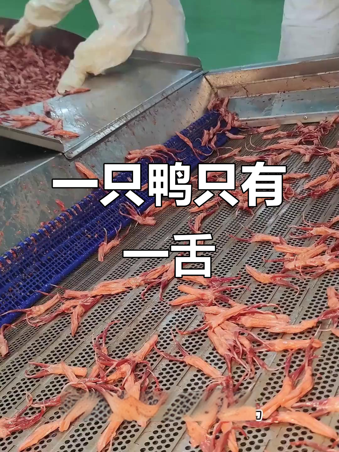 为什么鸭舌头这么贵?原来一只鸭子只有一个!