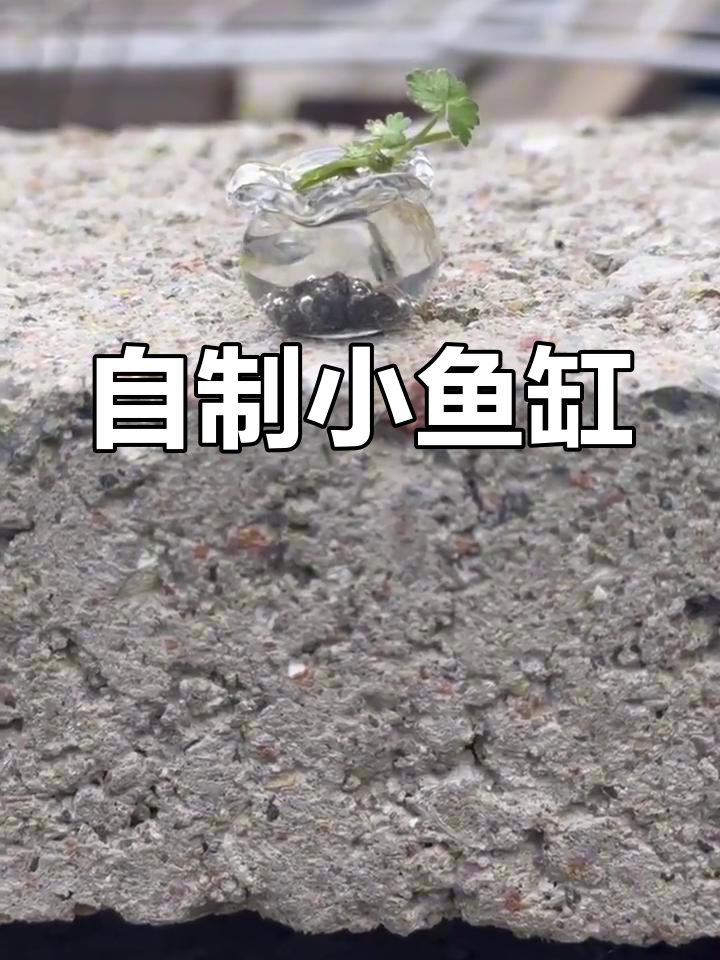 迷你生态鱼缸制作全攻略