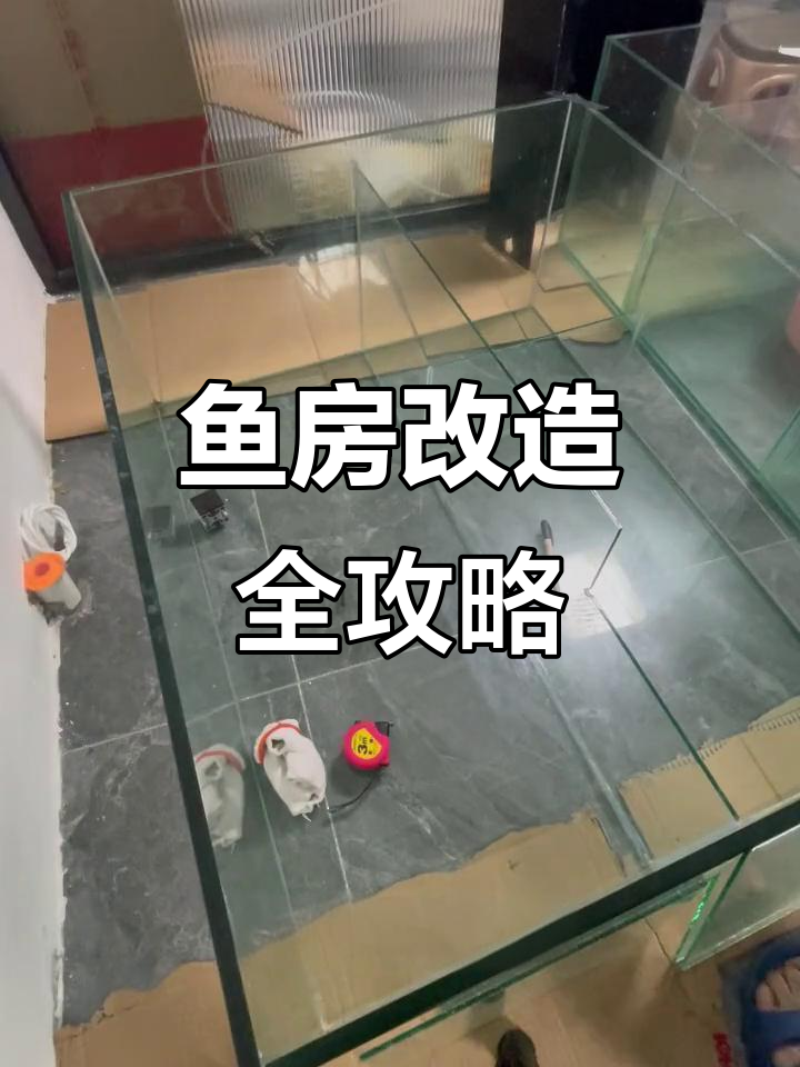 从零打造鱼房,120方缸底滤设计全解析