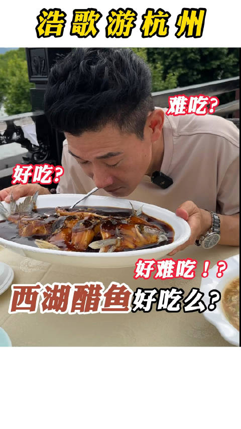 好吃和难吃的中间—西湖醋鱼