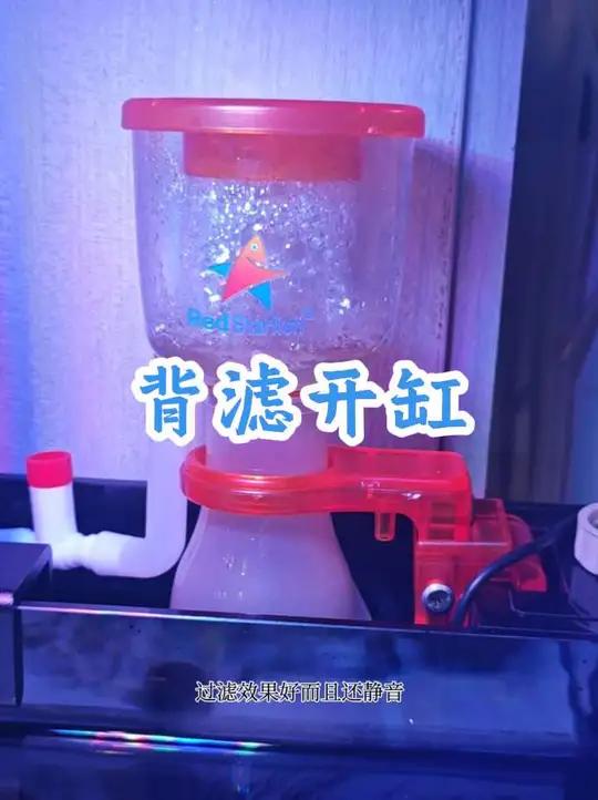 也算是用上了好点的鱼缸了