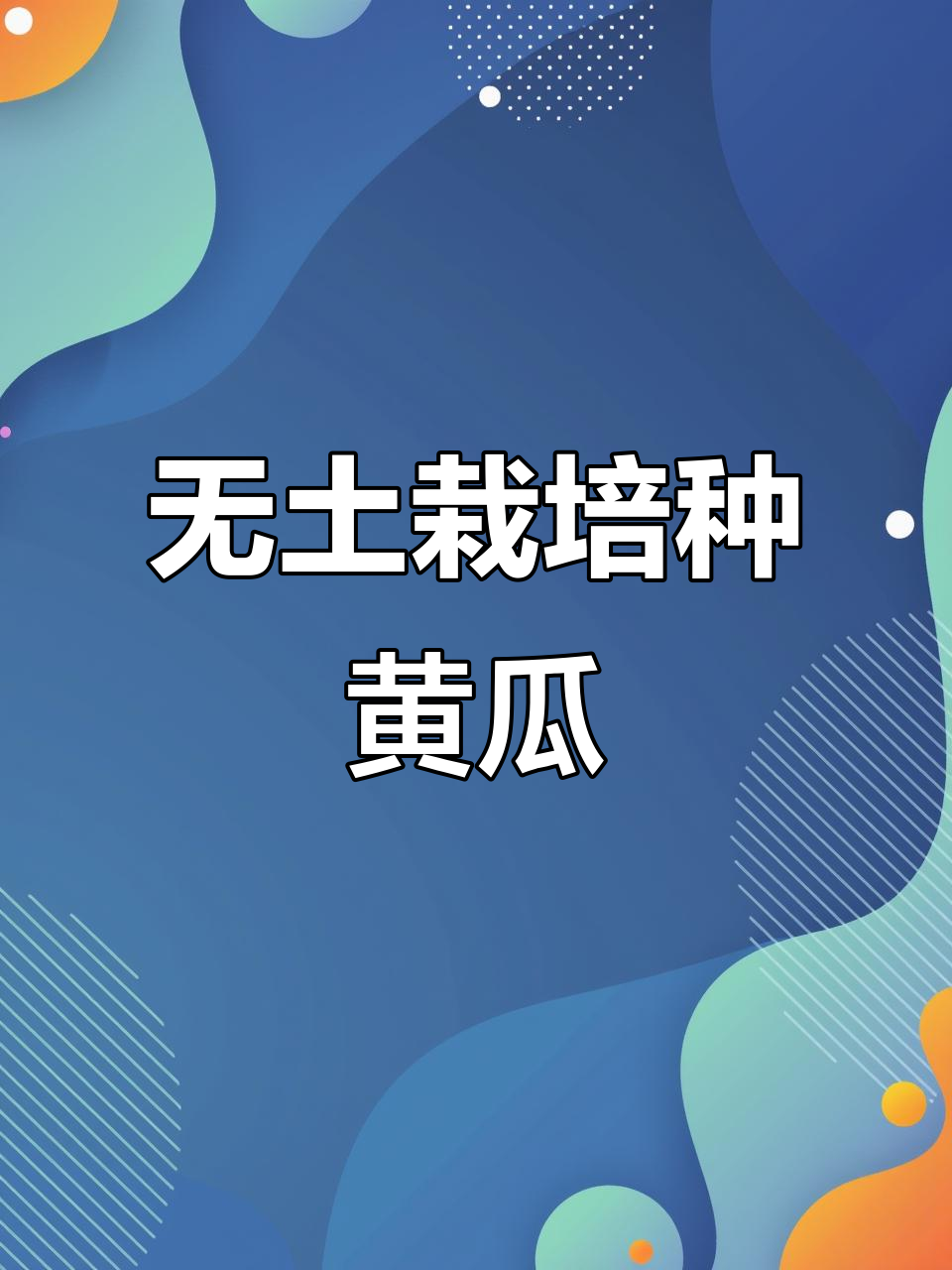 阳台管道无土栽培黄瓜,轻松搞定家庭种植