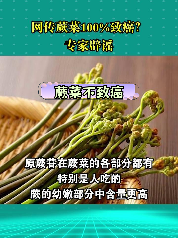 蕨菜致癌传闻遭辟谣