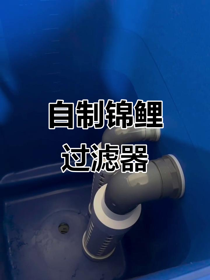 锦鲤鱼池过滤系统制作:沉淀仓、虹吸与垃圾桶完美配合
