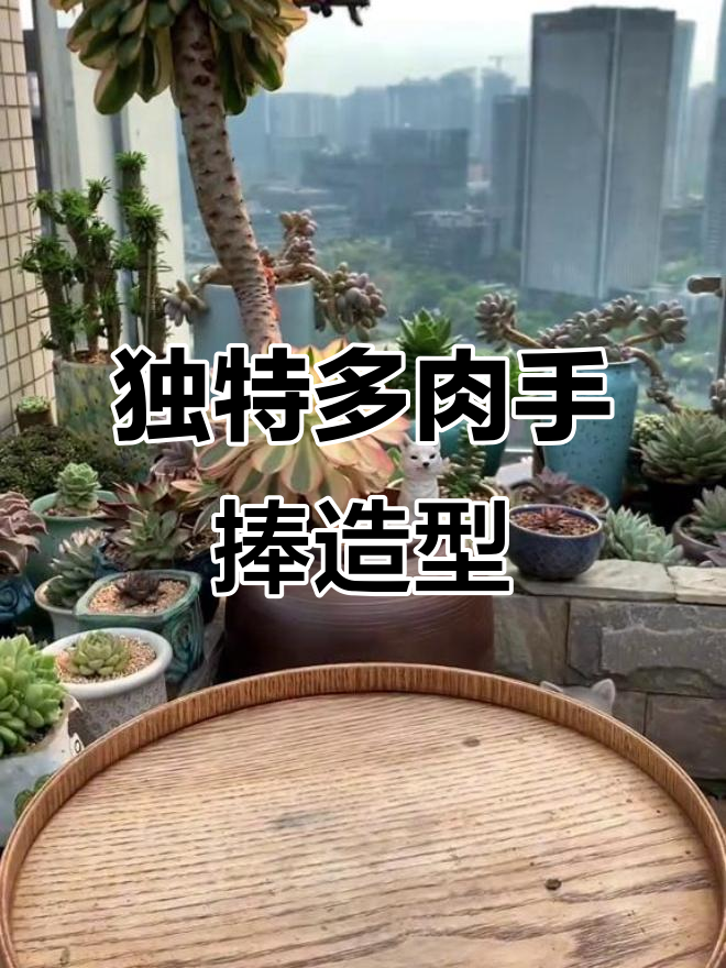 多肉植物手捧造型,创意十足的老桩设计