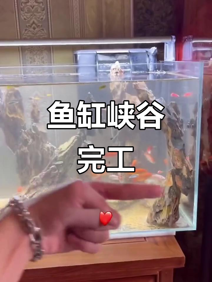 鱼缸峡谷大变身,石头粘胶太费劲!