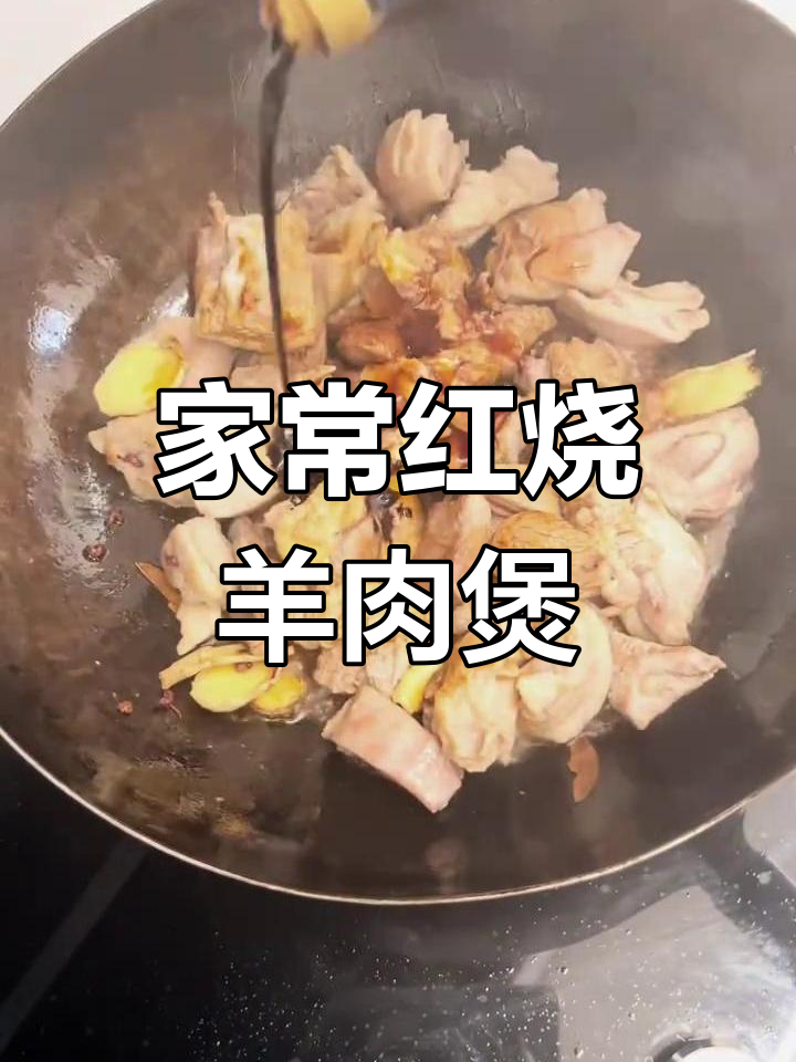 红烧羊肉煲,家常美味做法大揭秘