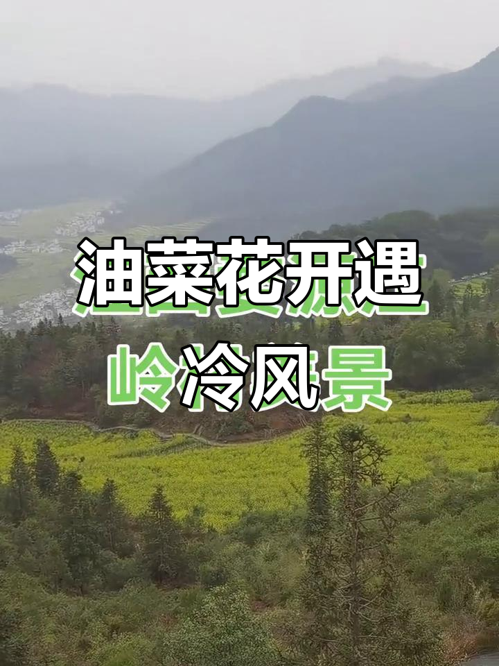 江西婺源油菜花梯田美景,寒潮来袭气温骤降