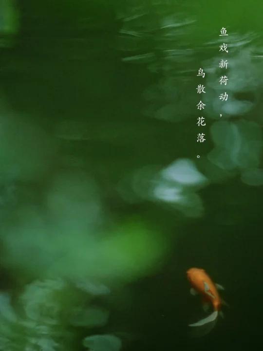 鱼戏新荷动,鸟散余花落