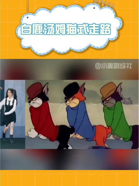 白鹿汤姆猫式走路好可爱 白鹿 猫和老鼠