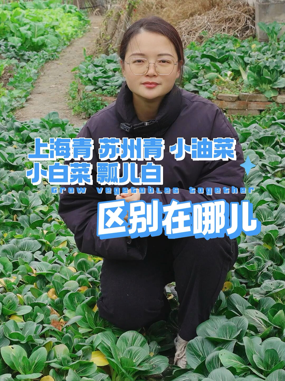 上海青、苏州青、小油菜、瓢儿白,区别在哪儿?