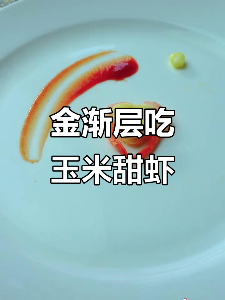 玉米甜虾大餐,金渐层猫咪的独特美味体验