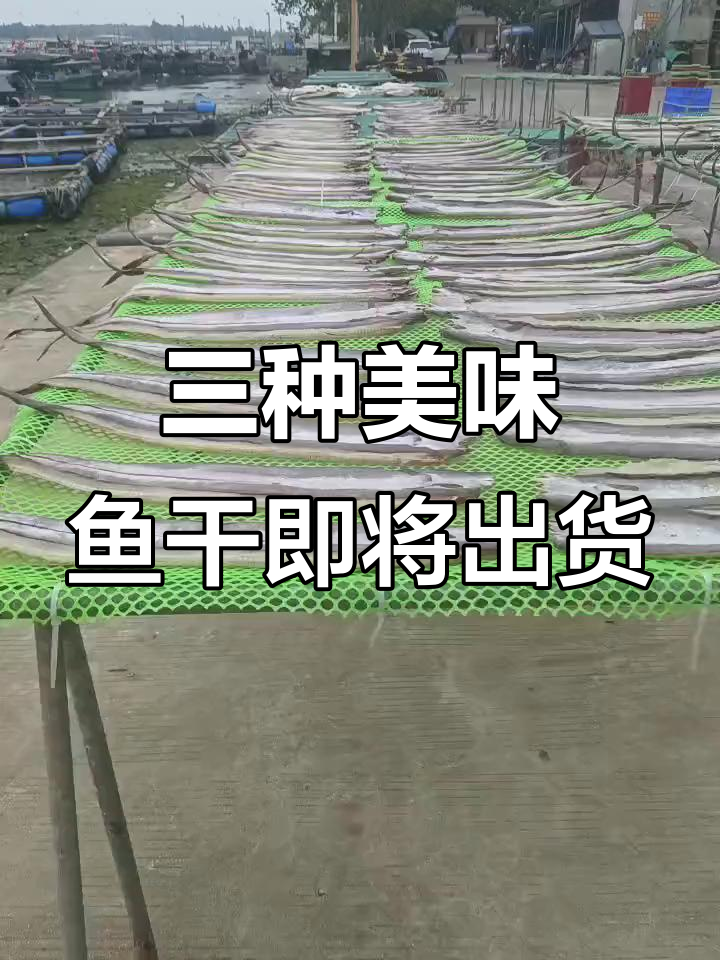 鳗鱼干、公鱼干和马鲛鱼干的独特风味,明天就能发货啦
