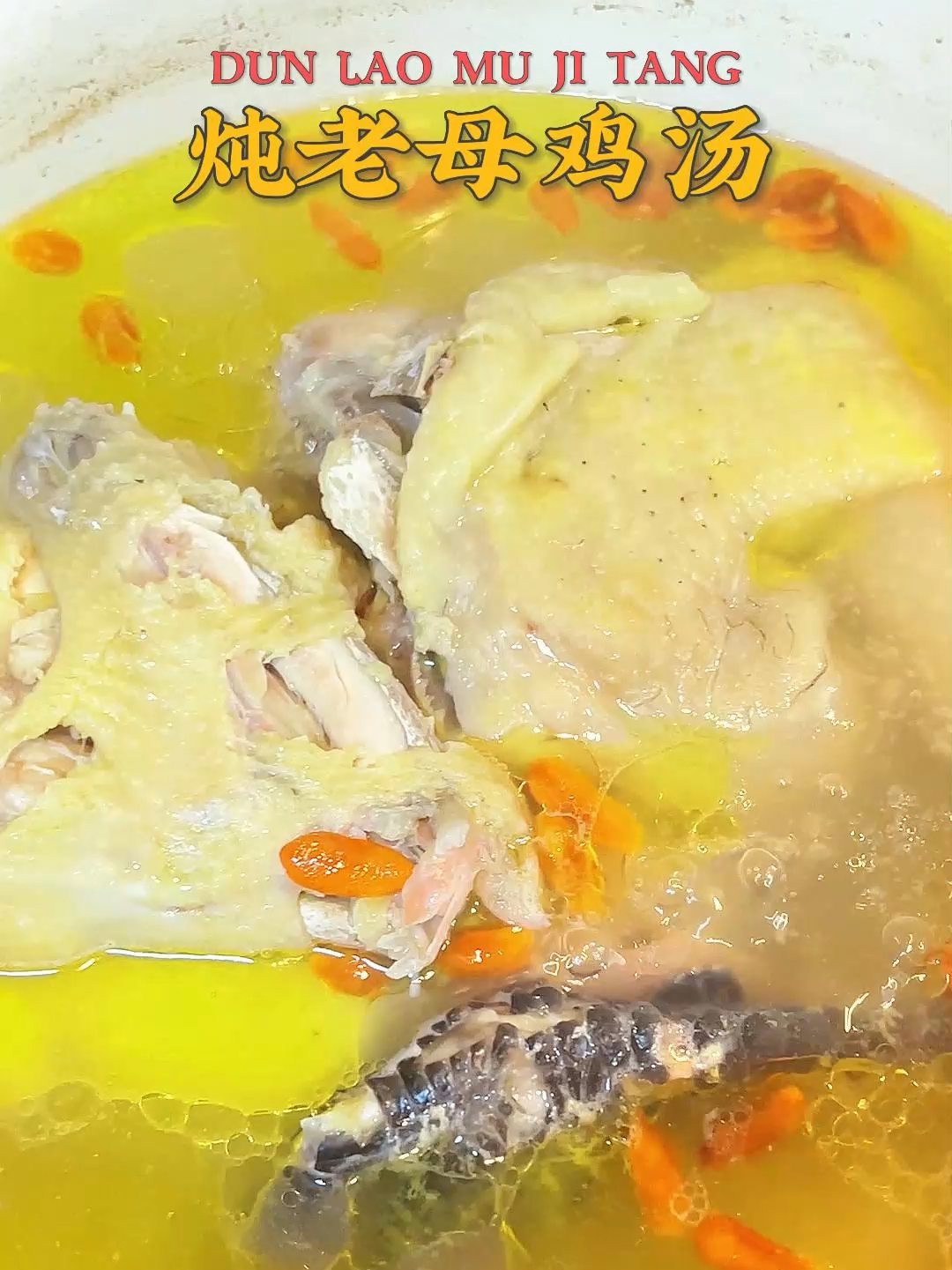 清炖老母鸡汤,原汁原味!营养滋补鲜美肉嫩