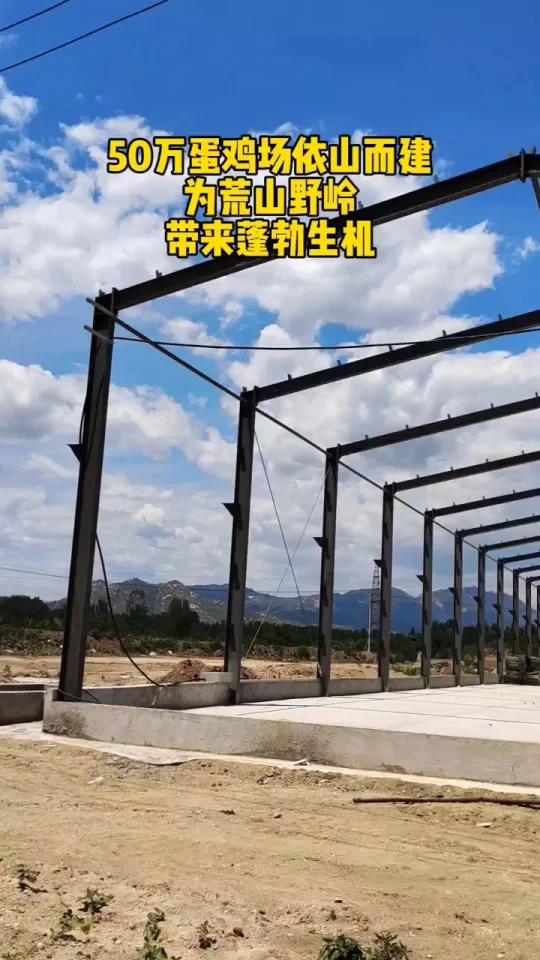 金璧盛承建养鸡场蛋鸡养殖设备源头厂家