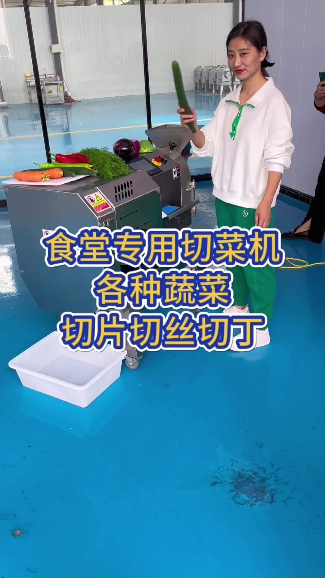 食堂专用切菜机各种蔬菜切丝切片切丁机 切菜机 多功能切菜机 蔬菜切丝机 黄瓜切片机 切片机