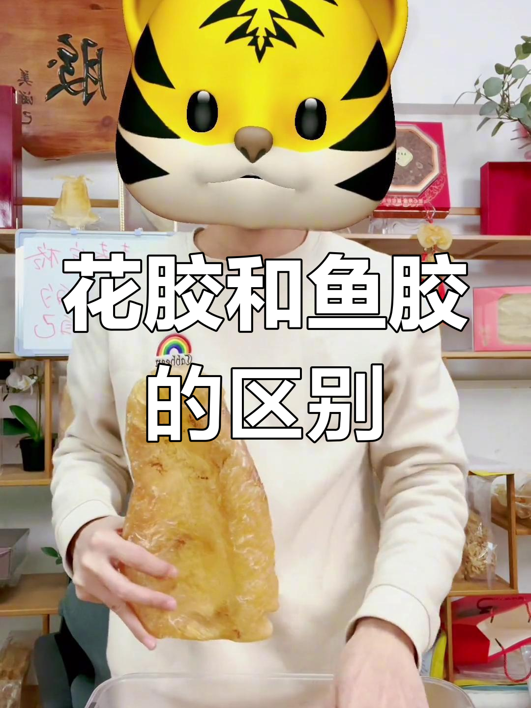 鱼胶与花胶的差异解析