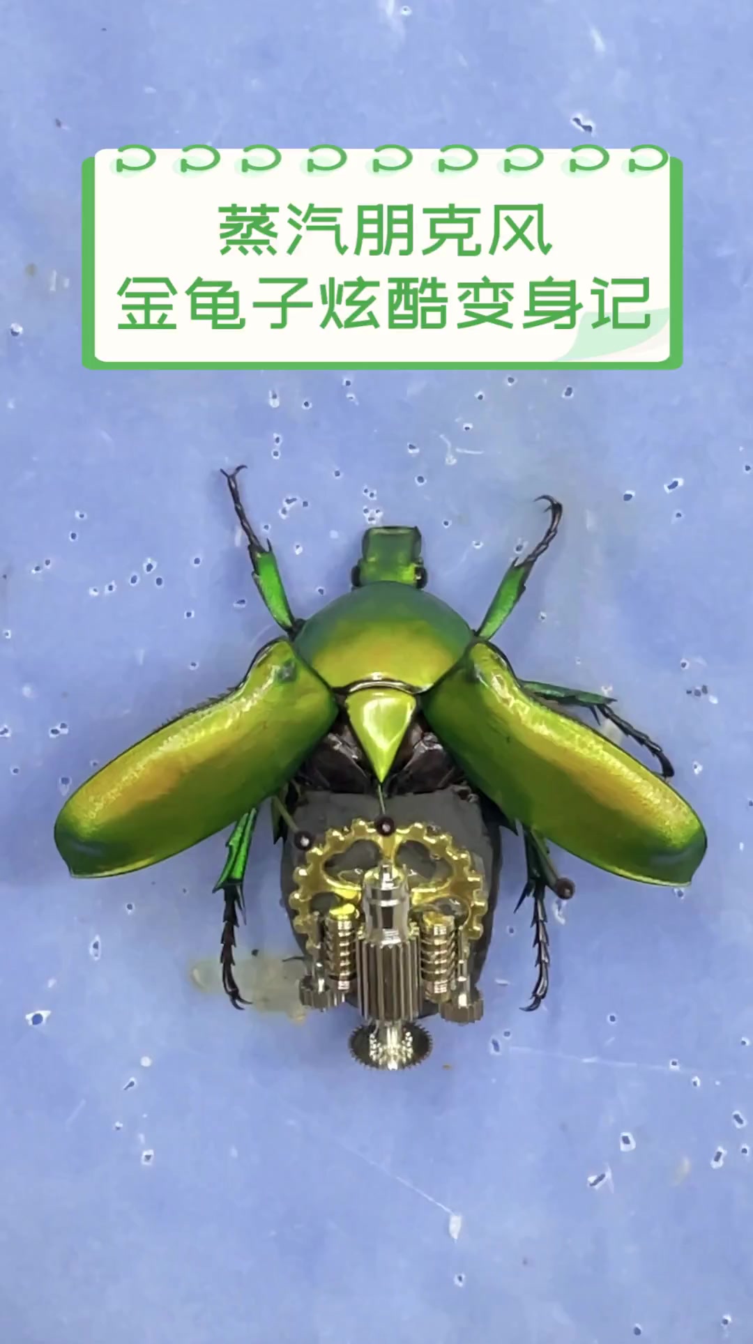 蒸汽朋克风,金龟子炫酷变身记