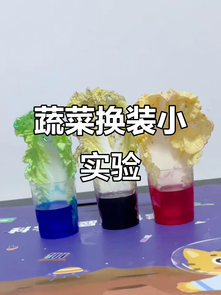 蔬菜也能换“衣服”?白菜根部染色实验大揭秘